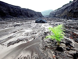 元素,峽谷,故障
