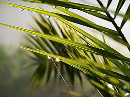 雨滴,霧,性質(zhì)