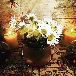 花,花園,自然