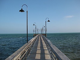 佛羅里達,海岸,橋