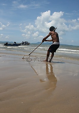 蟹游客,海灘,海