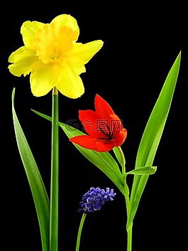 花,廠,性質