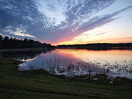 湖,天鵝,日落