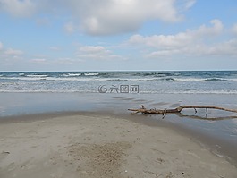 海灘,漂流木,海洋