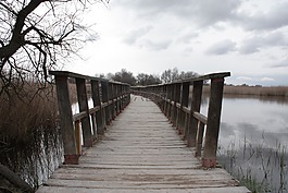 景觀,tablasdaimiel,性質(zhì)