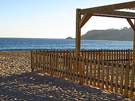 海灘,海,沙