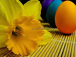 花,廠,性質(zhì)