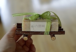 禮物,目前,色帶