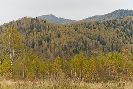 秋季,山,景觀