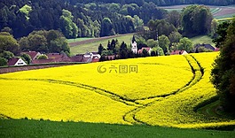 巴伐利亞,德國(guó),教會(huì)