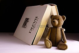 玩具,書,泰迪熊