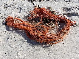 漂流物,繩,沙