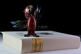 書,鸚鵡,飾品