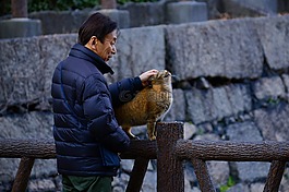 戶外,人,肖像