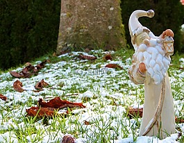 奎,圣誕老人,雪
