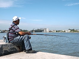 海,捕魚,景觀