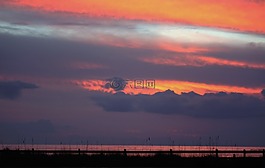 日落,熱帶,海燕麥