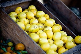 檸檬,水果,籃