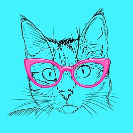 蓝色,猫,粉红色