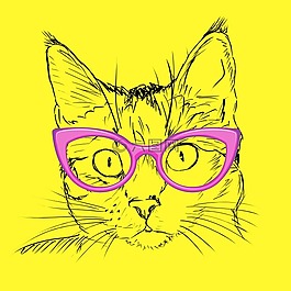黄色,猫,粉红色
