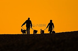 海灘,日落,人
