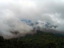 雨林,云,熱帶