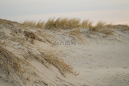 沙,海滩,沙丘