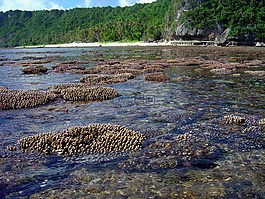 關島,灣,進口