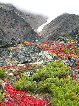 秋季,山,火山
