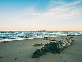 海滩,沙,夏天