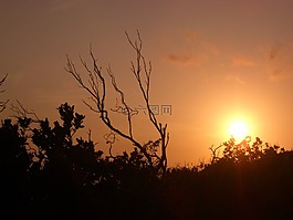 abendstimmung,浪漫,天空