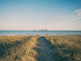 海滩,沙,夏天