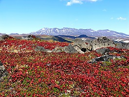 秋季,山,火山