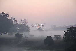 日出,有霧,農(nóng)村