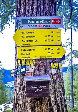 目录,高山,徒步旅行