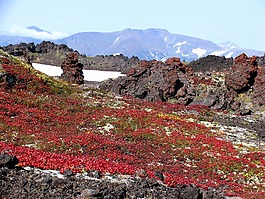 秋季,山,火山