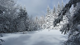雪,景觀,白