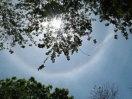 太陽(yáng),sonnenhalo,午餐