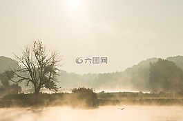 霧,水,湖