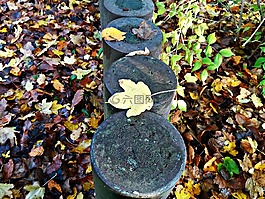 秋,葉,行李箱