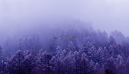 云霧,山水,清明