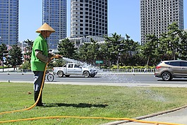 澆水,人物,草地