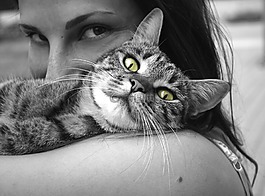 動物,貓咪,女孩