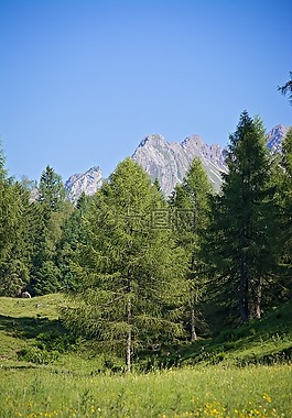 景觀,性質(zhì),夏季