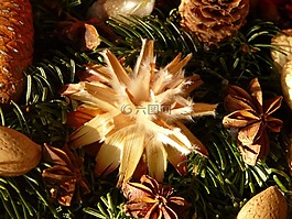 來臨的花環(huán),種子,裝飾