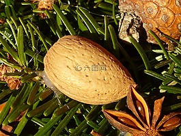 來臨的花環(huán),杏仁,裝飾