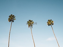 蓝色,天空,阳光