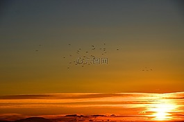 日落,在 orizonte 中的鳥(niǎo),閃爍