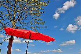 屏幕,夏季,陽傘