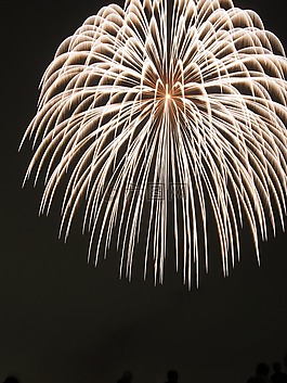 煙花,夜晚的天空,夏季